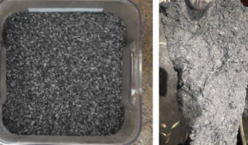 Biomass-coal blend